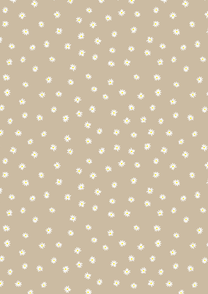 A705.3 daisies on dark neutral